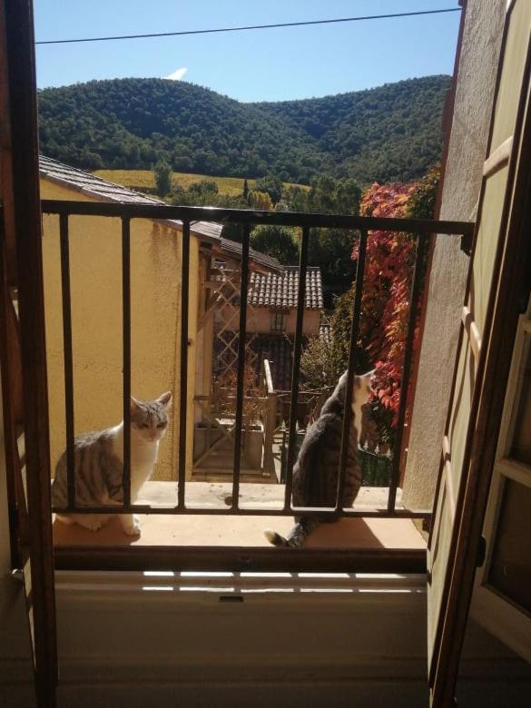 Séjour chez l'habitant Campagne Hyères